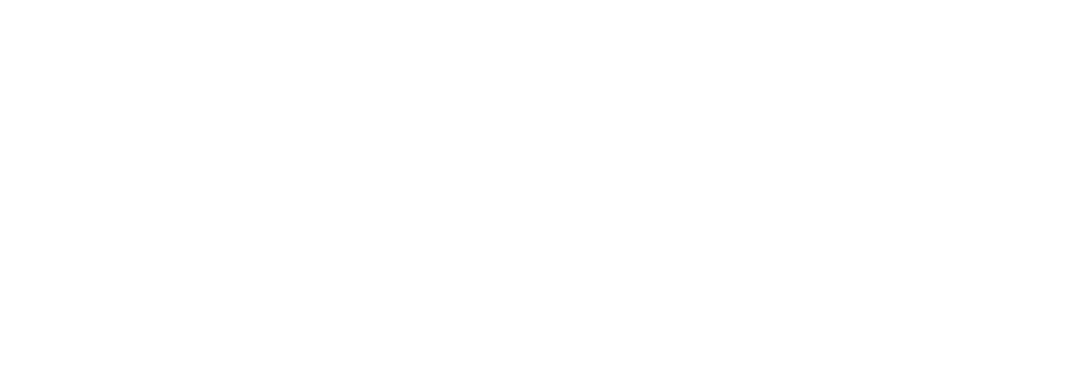 POSCO Argentina
